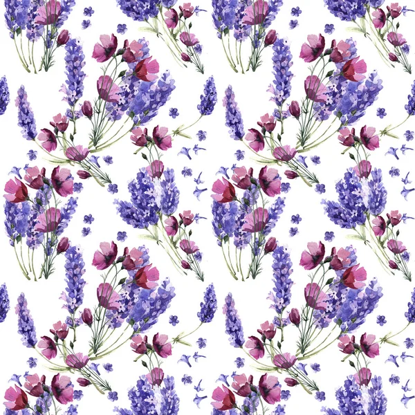 Wildblume Lavendel Blumenmuster in einem Aquarell-Stil isoliert. — Stockfoto