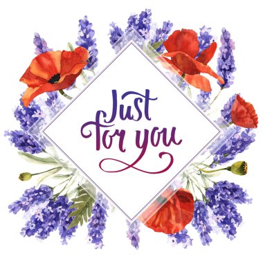 Kır çiçeği lavanta çiçek çerçeve izole bir suluboya tarzında.