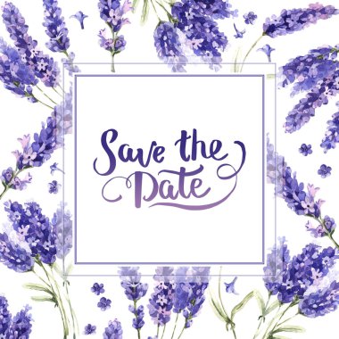 Kır çiçeği lavanta çiçek çerçeve izole bir suluboya tarzında.