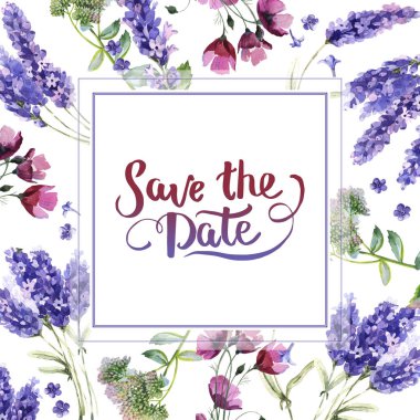 Kır çiçeği lavanta çiçek çerçeve izole bir suluboya tarzında.