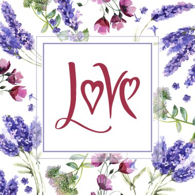 Kır çiçeği lavanta çiçek çerçeve izole bir suluboya tarzında.