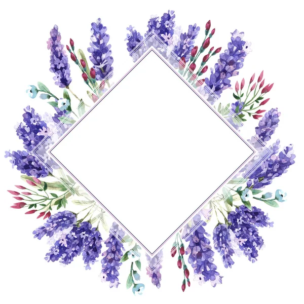分離された水彩画のワイルドフラワー ラベンダーの花フレーム. — ストック写真