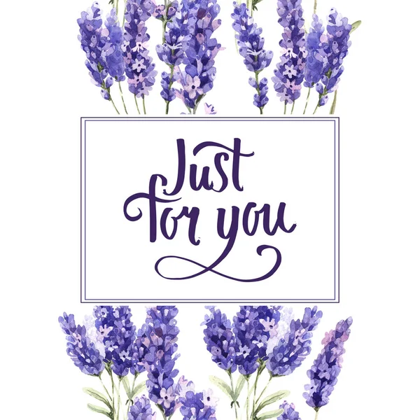 Armação de flor de lavanda de flores silvestres em um estilo aquarela isolado . — Fotografia de Stock