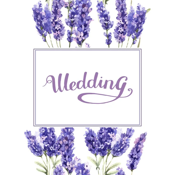 Wildflower lavendel bloem frame in een aquarel stijl geïsoleerd. — Stockfoto