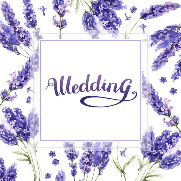 Wildflower lavendel bloem frame in een aquarel stijl geïsoleerd. — Stockfoto