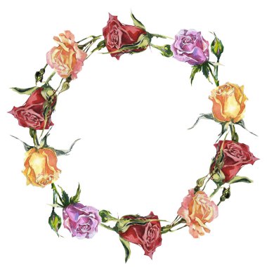 Kır çiçeği gül çiçek çelenk izole bir suluboya tarzında.