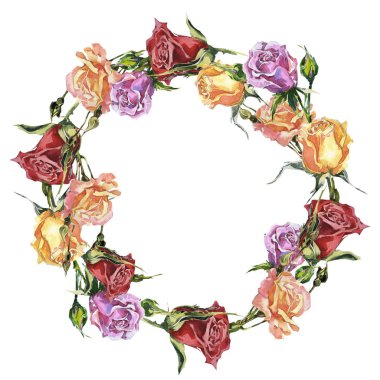 Kır çiçeği gül çiçek çelenk izole bir suluboya tarzında.