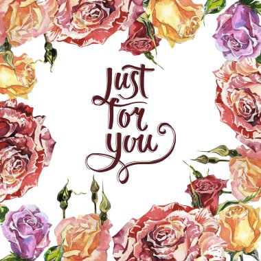 Kır çiçeği gül çiçek çerçeve izole bir suluboya tarzında.