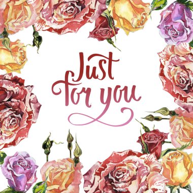 Kır çiçeği gül çiçek çerçeve izole bir suluboya tarzında.