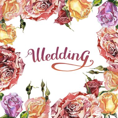 Kır çiçeği gül çiçek çerçeve izole bir suluboya tarzında.