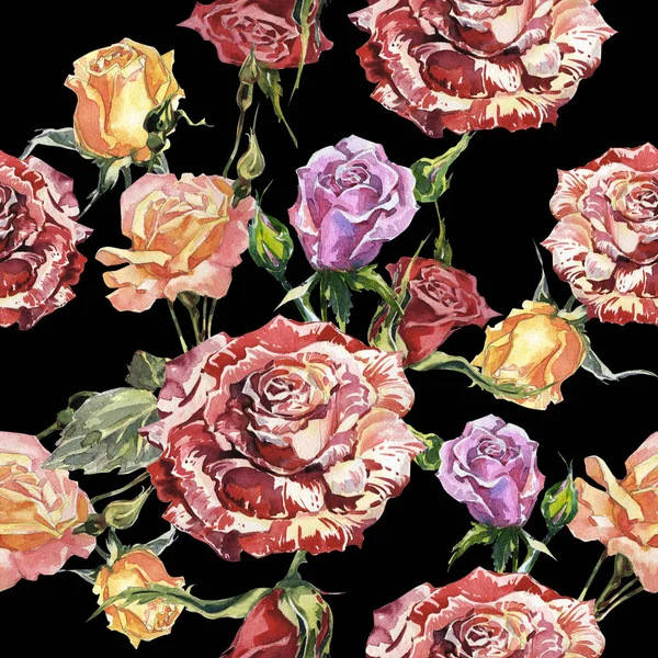 孤立的水彩风格野花玫瑰花朵图案. — 图库照片