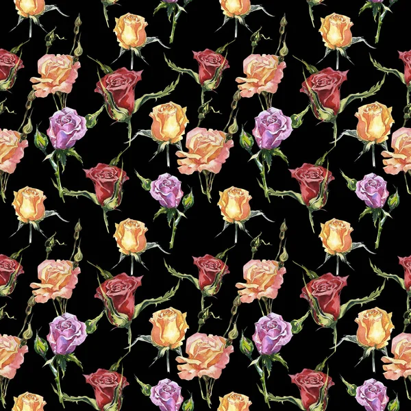 Kır çiçeği gül çiçek deseni izole bir suluboya tarzında.