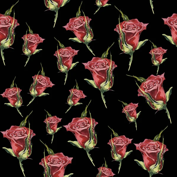 孤立的水彩风格野花玫瑰花朵图案. — 图库照片
