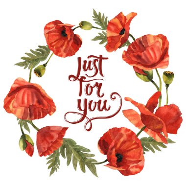 Kır çiçeği haşhaş çiçek çelenk izole bir suluboya tarzında.