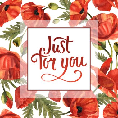 Kır çiçeği haşhaş çiçek çerçeve izole bir suluboya tarzında.