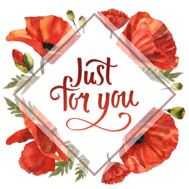 Kır çiçeği haşhaş çiçek çerçeve izole bir suluboya tarzında.