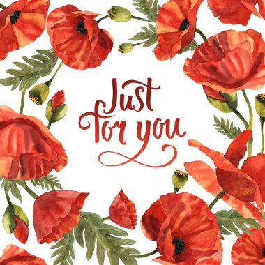 Kır çiçeği haşhaş çiçek çerçeve izole bir suluboya tarzında.