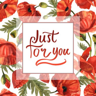 Kır çiçeği haşhaş çiçek çerçeve izole bir suluboya tarzında.