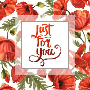 Kır çiçeği haşhaş çiçek çerçeve izole bir suluboya tarzında.