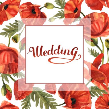 Kır çiçeği haşhaş çiçek çerçeve izole bir suluboya tarzında.