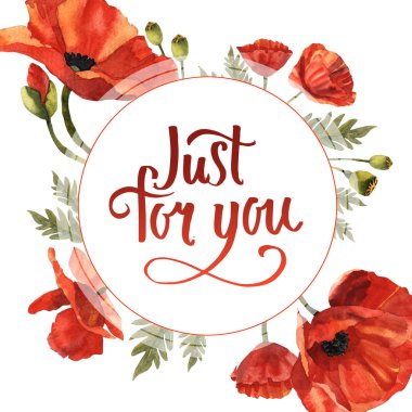 Kır çiçeği haşhaş çiçek çerçeve izole bir suluboya tarzında.