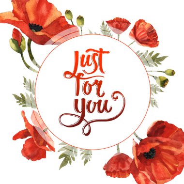 Kır çiçeği haşhaş çiçek çerçeve izole bir suluboya tarzında.