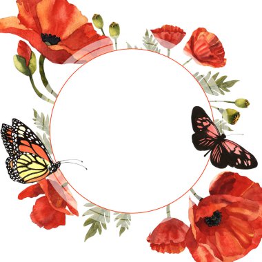 Kır çiçeği haşhaş çiçek çerçeve izole bir suluboya tarzında.