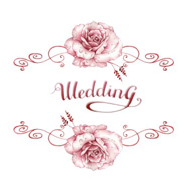 Kır çiçeği gül çiçek çerçeve izole bir suluboya tarzında.