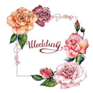 Kır çiçeği gül çiçek çerçeve izole bir suluboya tarzında.