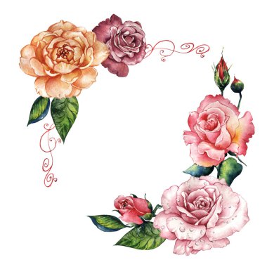 Kır çiçeği gül çiçek çerçeve izole bir suluboya tarzında.