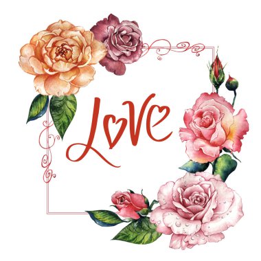 Kır çiçeği gül çiçek çerçeve izole bir suluboya tarzında.