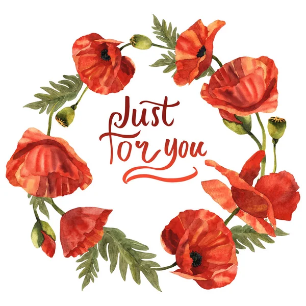 Kır çiçeği haşhaş çiçek çelenk izole bir suluboya tarzında.