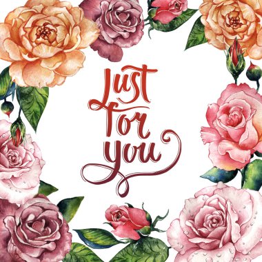 Kır çiçeği gül çiçek çerçeve izole bir suluboya tarzında.