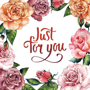 Kır çiçeği gül çiçek çerçeve izole bir suluboya tarzında.