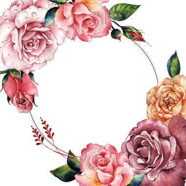 Kır çiçeği gül çiçek çerçeve izole bir suluboya tarzında.