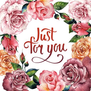 Kır çiçeği gül çiçek çerçeve izole bir suluboya tarzında.