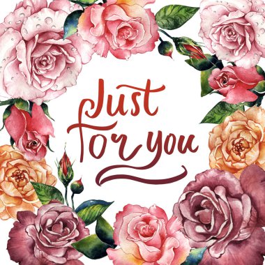 Kır çiçeği gül çiçek çerçeve izole bir suluboya tarzında.