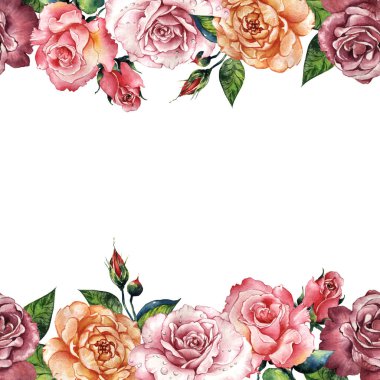 Kır çiçeği gül çiçek çerçeve izole bir suluboya tarzında.