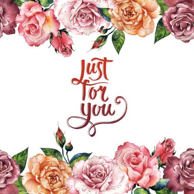 Kır çiçeği gül çiçek çerçeve izole bir suluboya tarzında.