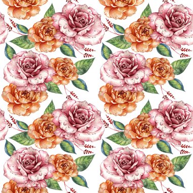 Kır çiçeği gül çiçek deseni izole bir suluboya tarzında.