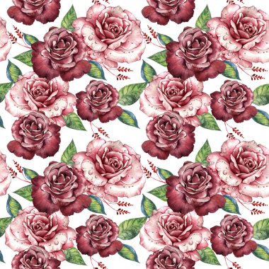 Kır çiçeği gül çiçek deseni izole bir suluboya tarzında.