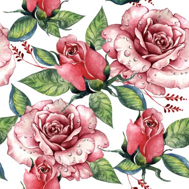 Kır çiçeği gül çiçek deseni izole bir suluboya tarzında.