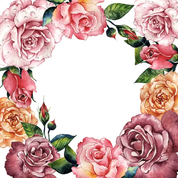 Růžový květ rám ve stylu akvarelu izolované wildflower. — Stock fotografie