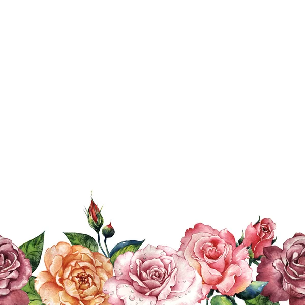 Wildflower kwiat róży rama w stylu przypominającym akwarele na białym tle. — Zdjęcie stockowe