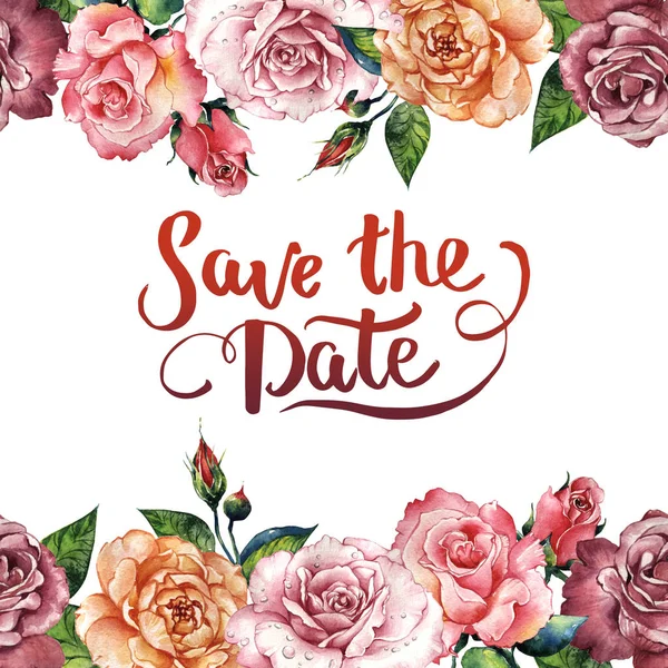 Kır çiçeği gül çiçek çerçeve izole bir suluboya tarzında.