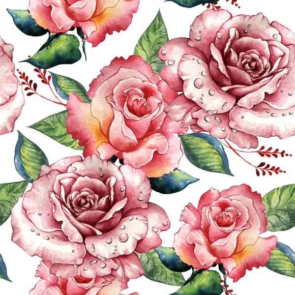 Motif fleur rose sauvage dans un style aquarelle isolé . — Photo