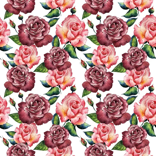 Kır çiçeği gül çiçek deseni izole bir suluboya tarzında.