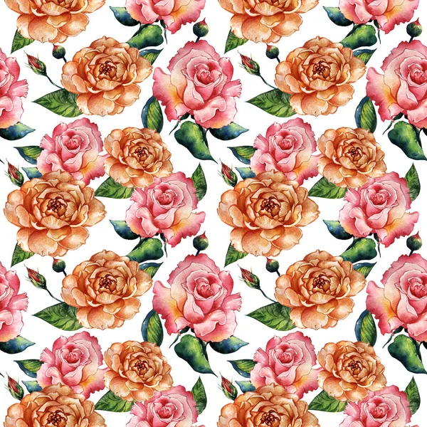 Motif fleur rose sauvage dans un style aquarelle isolé . — Photo