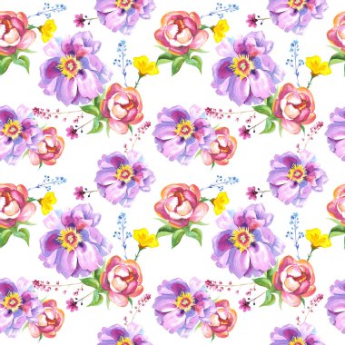 Kır çiçeği gül çiçek deseni izole bir suluboya tarzında