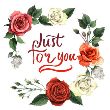 Kır çiçeği gül çiçek çerçeve izole bir suluboya tarzında.